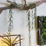 Apartman Fuer Zwei Direkt An Der Piste In Fee